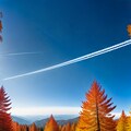 秋の空と飛行機雲 5枚目