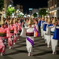 阿波おどり 5枚目