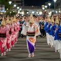 阿波おどり 4枚目