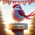 The roundest and fluffiest bird 6枚目