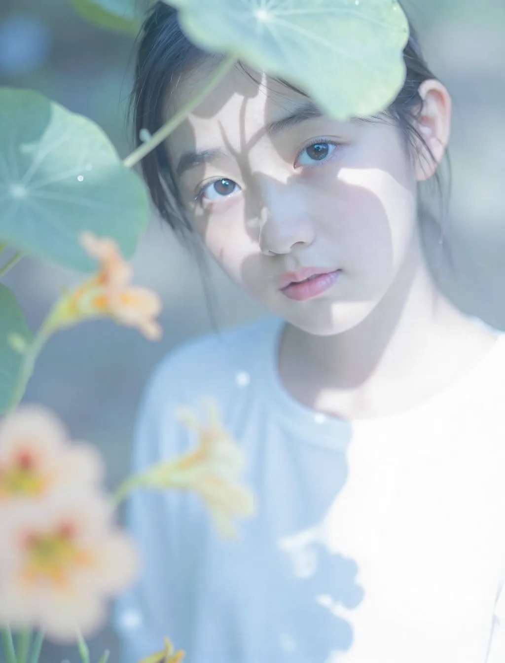 花と強烈な光と