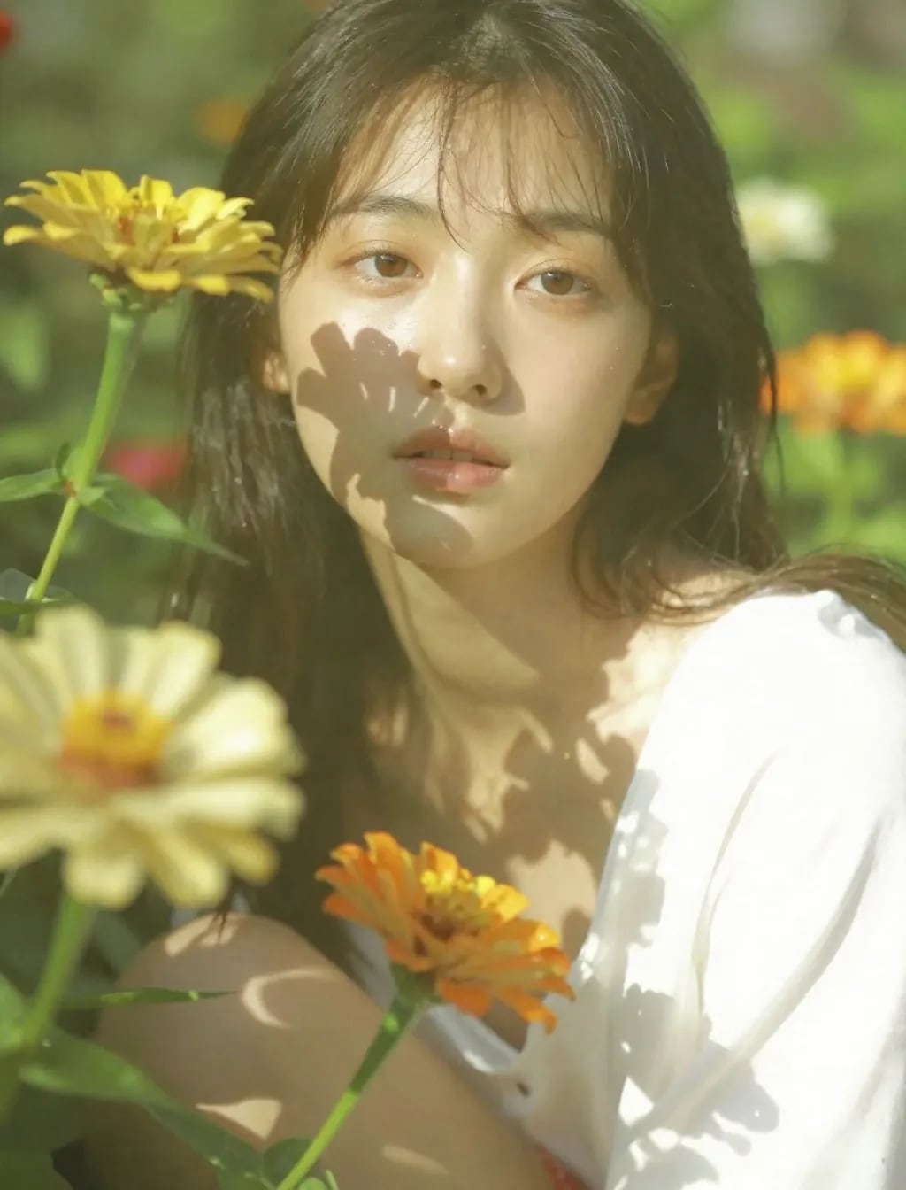 花と強烈な光と