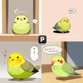 喋るインコチャレンジ 3枚目