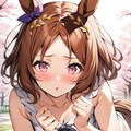 桜とローレル 2枚目