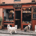 Bar CATS 9枚目