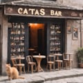 Bar CATS 2枚目