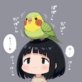詩織ママンと喋るインコ 6枚目