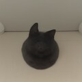 黒ねこ 4枚目