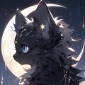 月夜の黒猫 2枚目