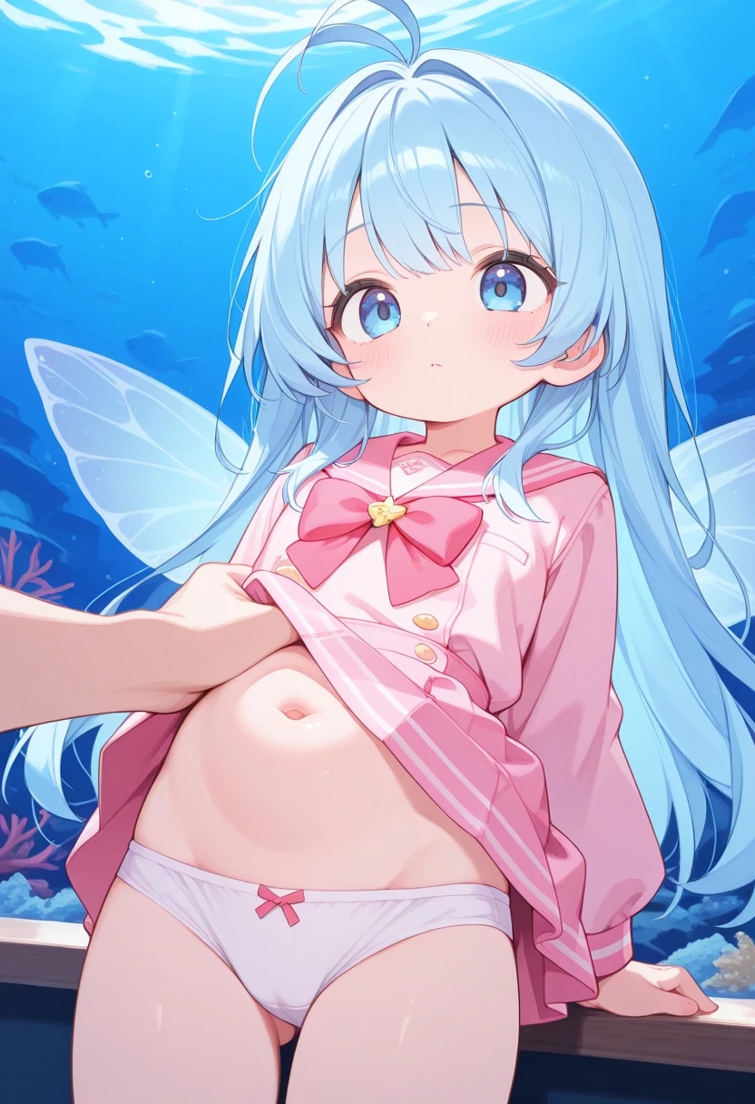 妖精の羽3🧚