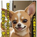 【宣伝】「巨乳飼い主の愛犬がキモいおじさん（人間）になったから元の姿に戻す為、言われるままにご奉仕したけど、実はストーカーおやじだった件」販売中 9枚目