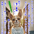 【宣伝】「巨乳飼い主の愛犬がキモいおじさん（人間）になったから元の姿に戻す為、言われるままにご奉仕したけど、実はストーカーおやじだった件」販売中 8枚目