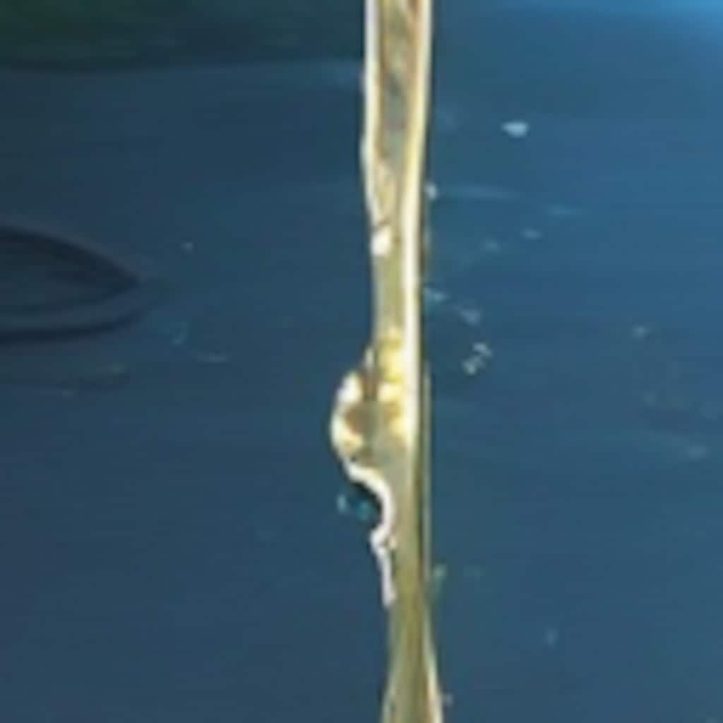 もったいない！(WAVE)