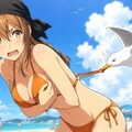 カモメのいたずら 2枚目