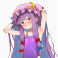 パチュリー 2枚目