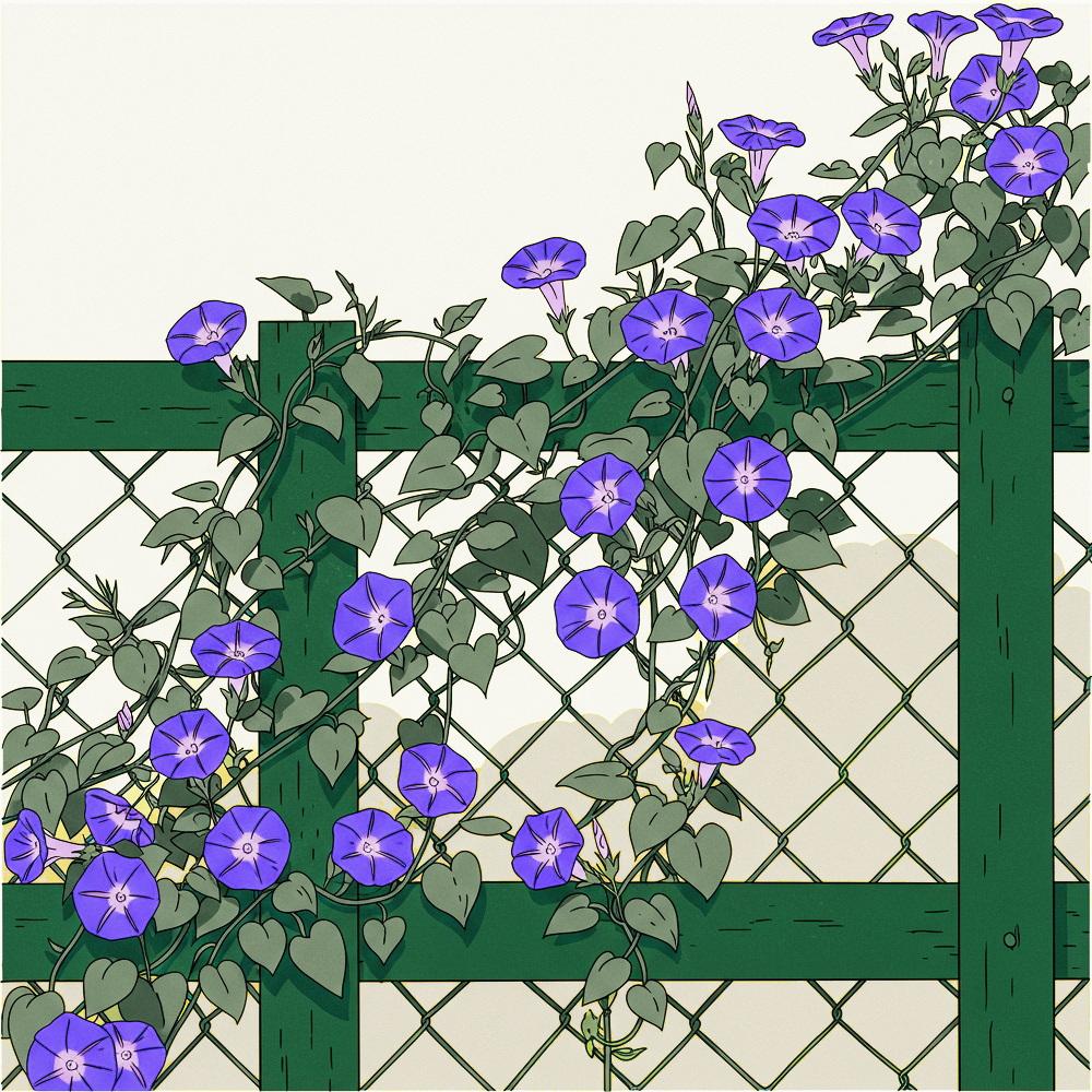 朝顔三様 | の人気AIイラスト・グラビア