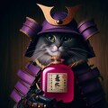 お侍様の戦い方じゃない… 2枚目