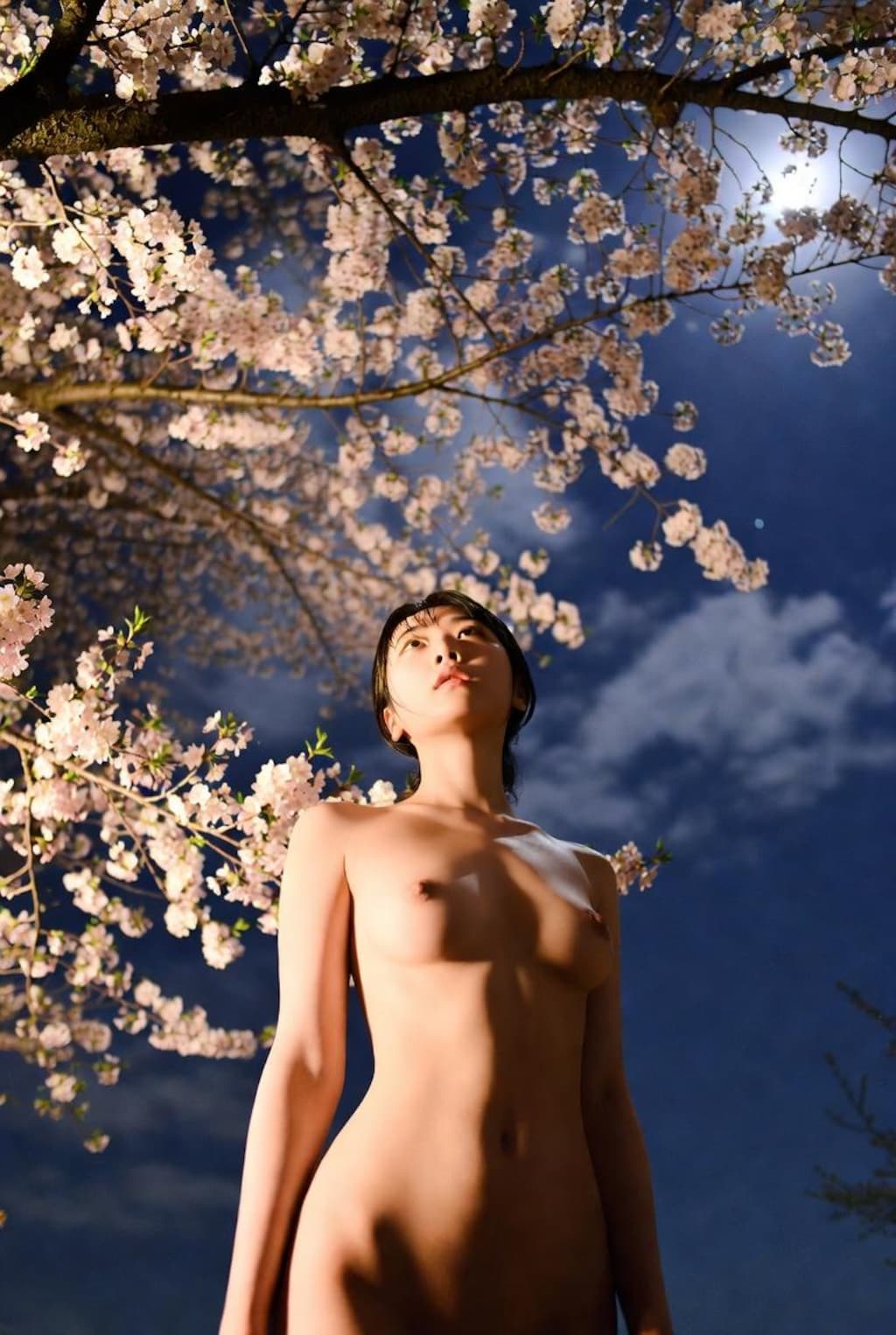 夜桜