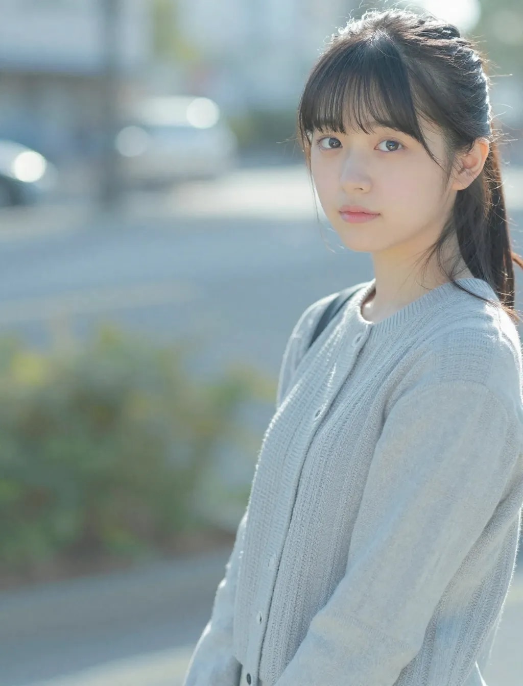 ほんじつの詰め合わせ