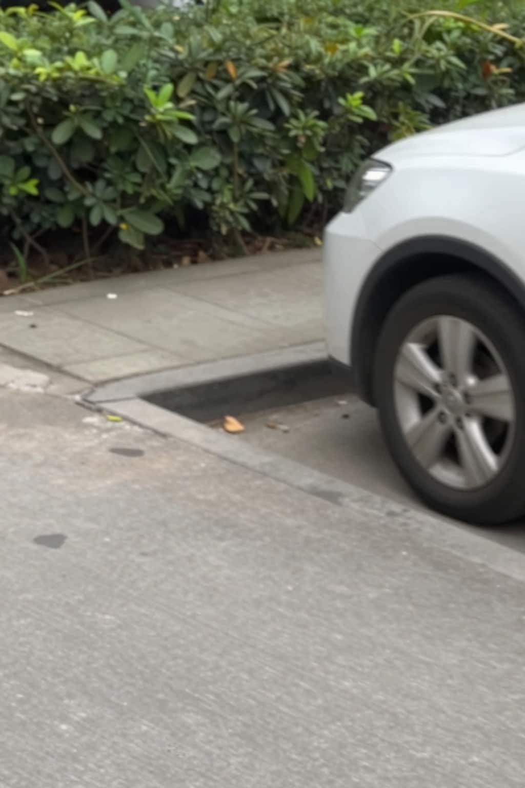 Z-imageのテスト生成おまけ(iPhone風写真)