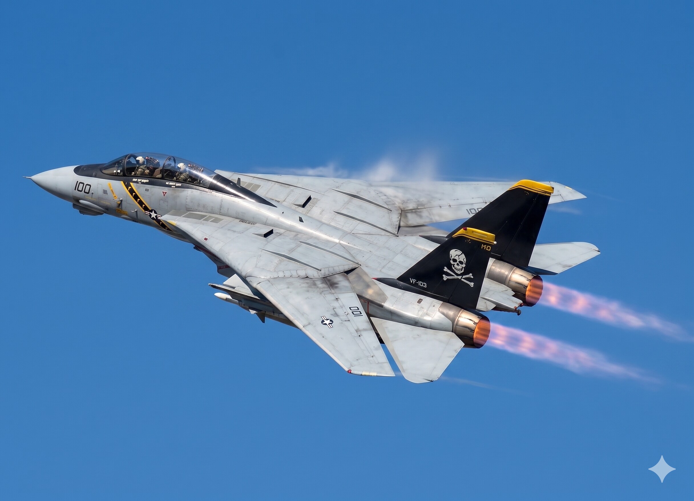 ジョリーロジャースのF-14