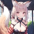 狐娘4 2枚目