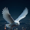夜景を眼下に飛ぶフクロウ 2枚目