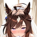花嫁のドゥラメンテ 2枚目