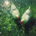 White hens in green water 2枚目