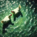 White hens in green water 11枚目