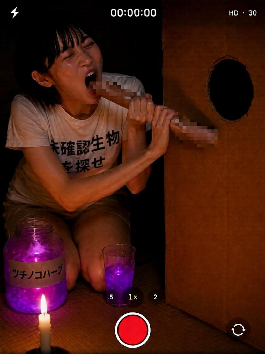 未確認生物を探せ ツチノコ編