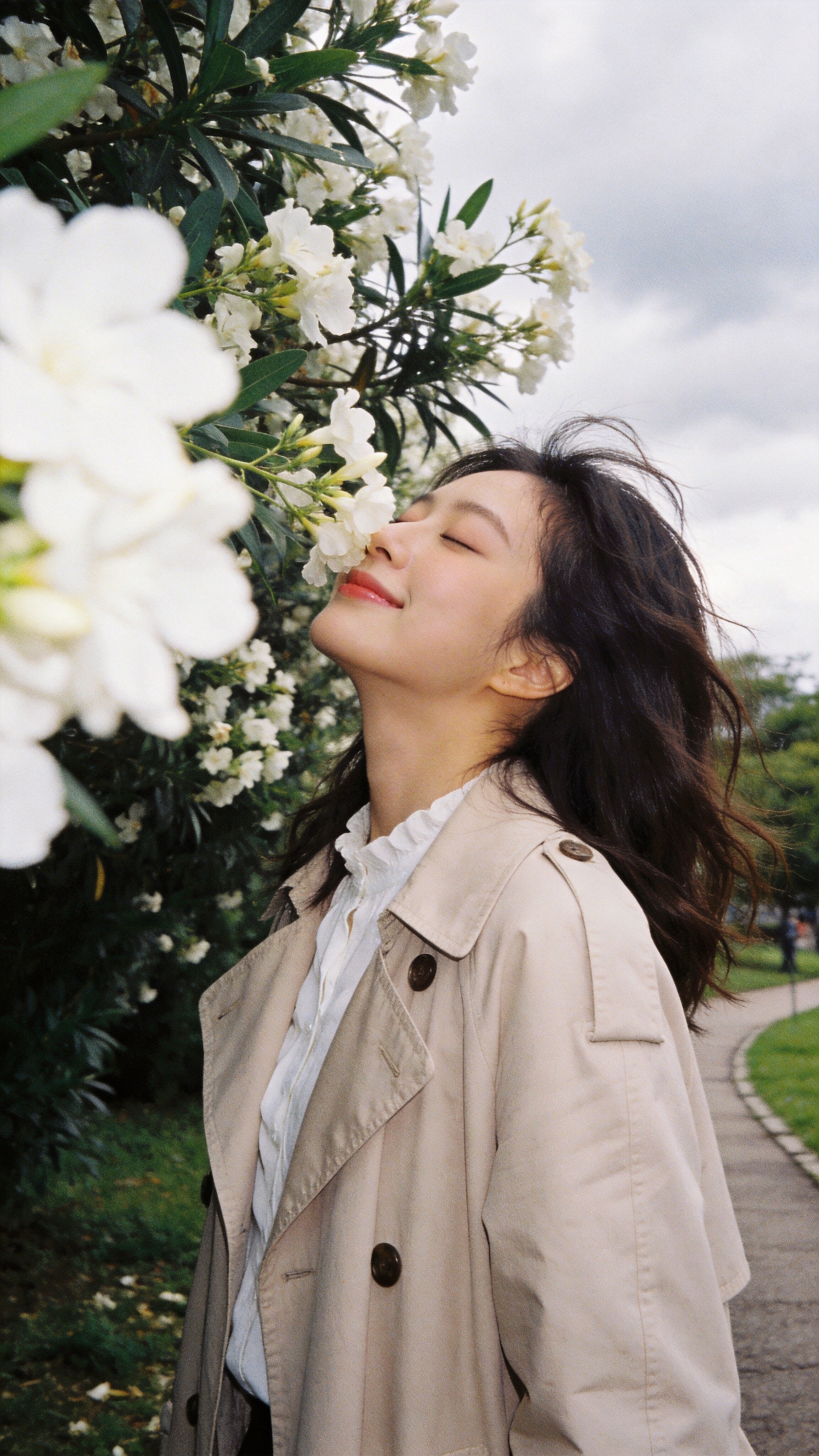 Whispers of White Petals