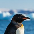 世界ペンギンの日③ 6枚目