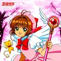 カードキャプターさくら 4枚目