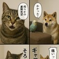 第２期のいぬとねこといんこボツ画像 6枚目