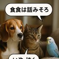 第２期のいぬとねこといんこボツ画像 11枚目