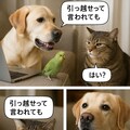 第２期のいぬとねこといんこボツ画像 4枚目