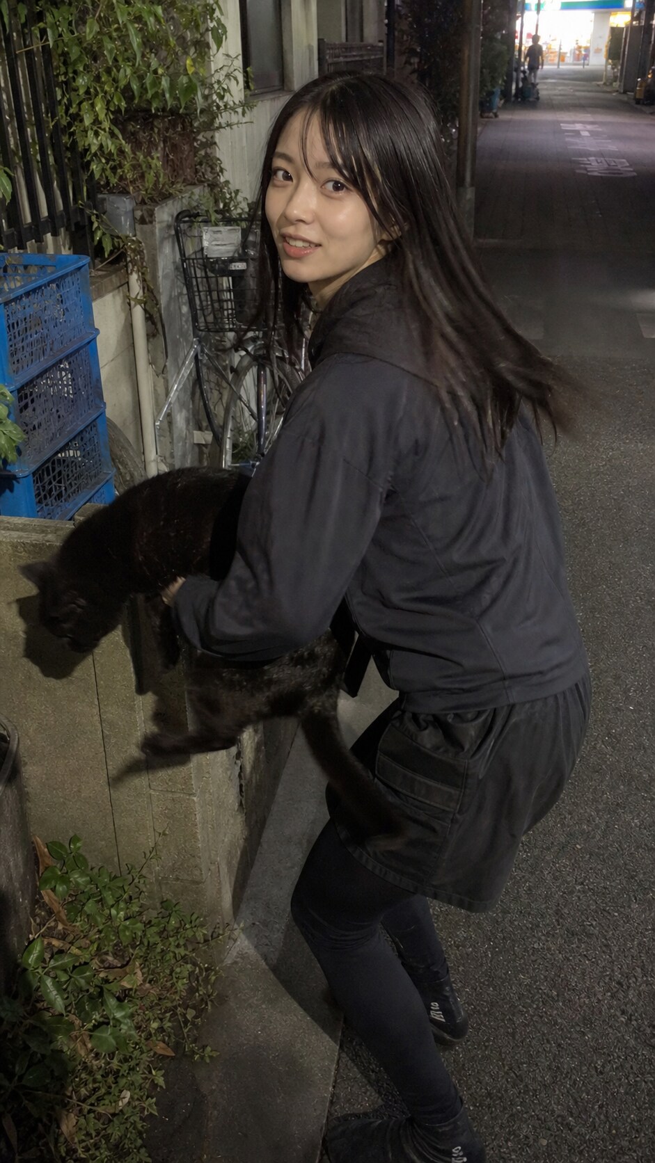 The Night Cat Rescue