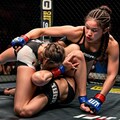 【おまけ】AIはMMAをまだ知らない 7枚目