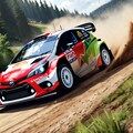 WRC（FIA 世界ラリー選手権） 2枚目