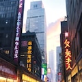 毒都 2枚目