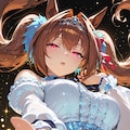 ダイワスカーレット 2枚目
