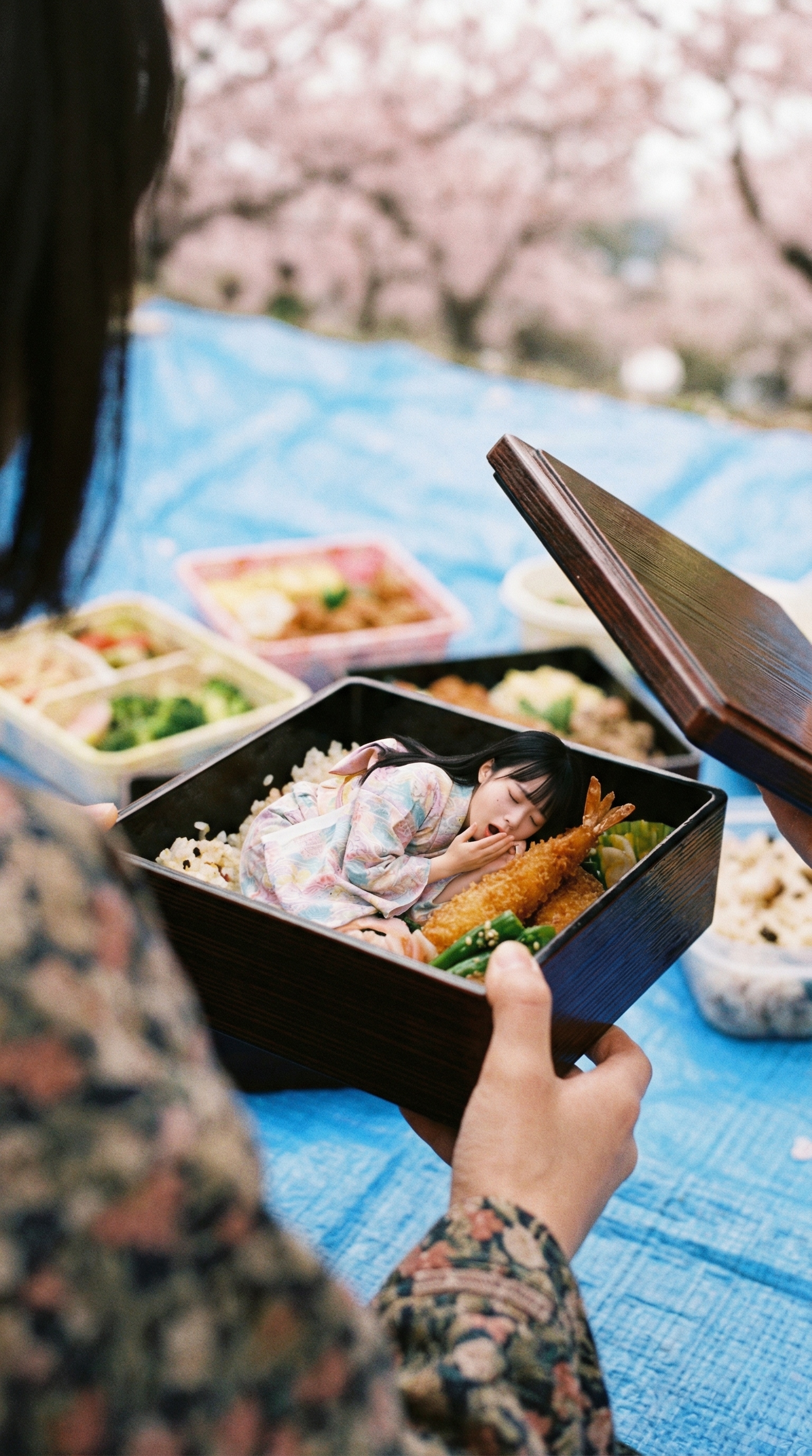 A Dream Packed Between Rice and Spring