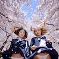 桜並木 8枚目