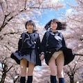 桜並木 5枚目