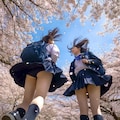 桜並木 9枚目