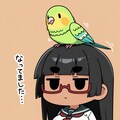 インコを乗せる太まゆ姉ちゃん 7枚目