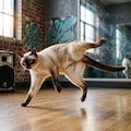 シャム猫 5枚目