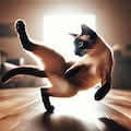 シャム猫 7枚目