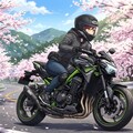 四月 ～桜の思い出～ 2枚目
